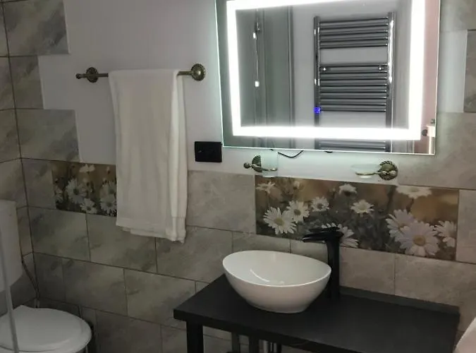 Garsoniera Delia Brasov