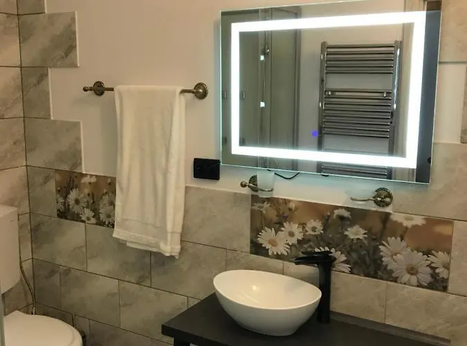 Garsoniera Delia 公寓