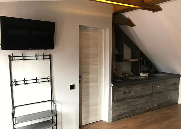 Apartment Garsoniera Delia