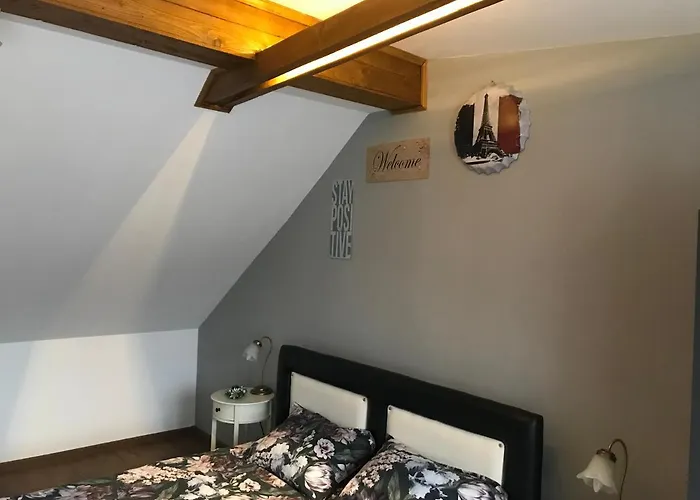 Garsoniera Delia 公寓 *