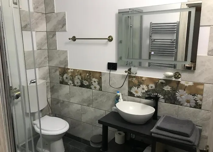 Garsoniera Delia Brasov