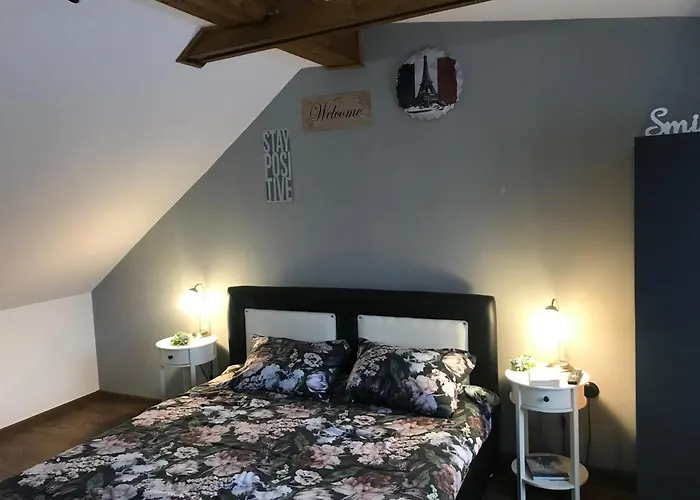 Apartment Garsoniera Delia *