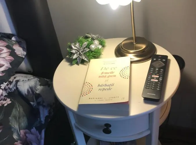 Garsoniera Delia 公寓 *