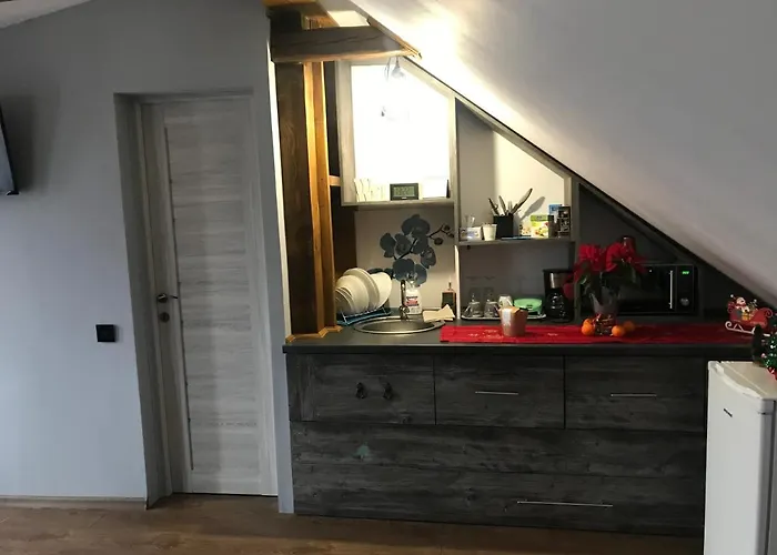 Garsoniera Delia 布拉索夫